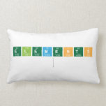 Elements
   Pillows (Lumbar)