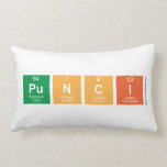 Punci  Pillows (Lumbar)
