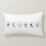Welcome  Pillows (Lumbar)