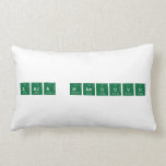 Zara Marouvo  Pillows (Lumbar)
