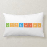 inspiration   Pillows (Lumbar)