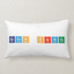 Bacon sarnies  Pillows (Lumbar)