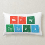 Nerdy
 Thirty  Pillows (Lumbar)