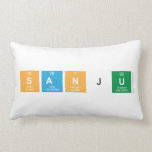 SANJU  Pillows (Lumbar)
