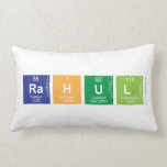Rahul  Pillows (Lumbar)
