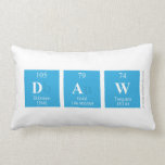 DaW  Pillows (Lumbar)