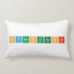 Syamsundhar   Pillows (Lumbar)