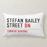 Stefan Bailey Street  Pillows (Lumbar)