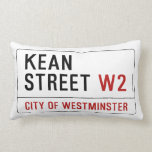 KEAN street  Pillows (Lumbar)