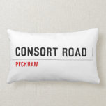 CONSORT ROAD  Pillows (Lumbar)