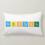 Resistance  Pillows (Lumbar)