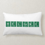WELCOME  Pillows (Lumbar)