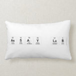ASSAY LAB  Pillows (Lumbar)