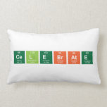 Celebrate   Pillows (Lumbar)