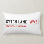 sytch lane   Pillows (Lumbar)