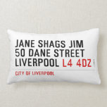 JANE SHAGS JIM 50 DANE STREET LIVERPOOL  Pillows (Lumbar)