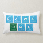 DAWA
  LAMA  Pillows (Lumbar)