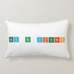 hoy es viernes  Pillows (Lumbar)