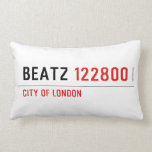 Beatz  Pillows (Lumbar)