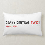 SEANY CENTRAL  Pillows (Lumbar)