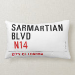 sarmartian blvd   Pillows (Lumbar)