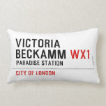 Victoria  Beckamm  Pillows (Lumbar)