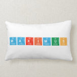 MAXIMUS  Pillows (Lumbar)