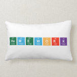 Homework  Pillows (Lumbar)