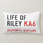 life of  riley  Pillows (Lumbar)