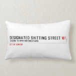 Designated Shitting Street  Pillows (Lumbar)