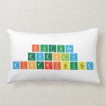 future
 evenly
 distributed  Pillows (Lumbar)