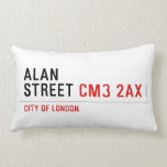 Alan  Street  Pillows (Lumbar)