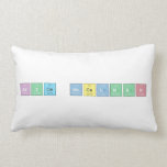 Bryce Mccalman  Pillows (Lumbar)