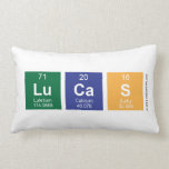 LUCAS  Pillows (Lumbar)