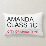 AMANDA class 1C  Pillows (Lumbar)