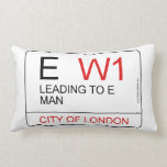 E   Pillows (Lumbar)