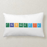 TRANSMEDIA  Pillows (Lumbar)