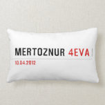 mertöznur  Pillows (Lumbar)