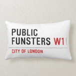 public funsters  Pillows (Lumbar)