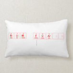 bilim fuarı
   Pillows (Lumbar)