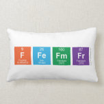 ffefmfr  Pillows (Lumbar)