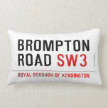 BROMPTON ROAD  Pillows (Lumbar)