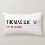 thomasicjc   Pillows (Lumbar)