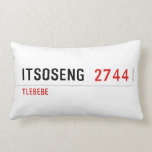 Itsoseng  Pillows (Lumbar)