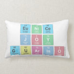 Eunice
 joy
 guarino  Pillows (Lumbar)