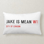Jake is mean  Pillows (Lumbar)