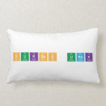 Sukses UNBK  Pillows (Lumbar)