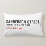SANDERSON STREET  Pillows (Lumbar)
