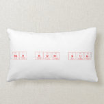 Bah Hum Bug  Pillows (Lumbar)