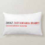ZAKAZ  Pillows (Lumbar)